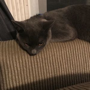 Meet your Posher, Kathie